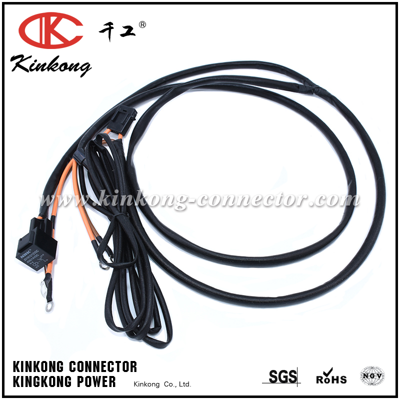 Wire harness cable assembly custom WD039