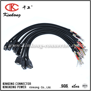 Kinkong Type 9 pin automotive connector wire harness