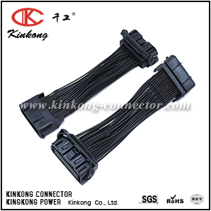 KinKong Type 48 Pin connector Wire Harness for automobile