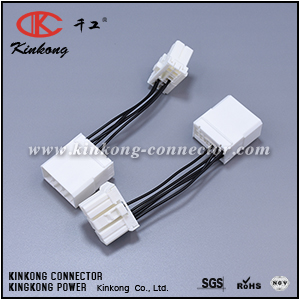 wire harness with 10 pin electrical connectors WB005