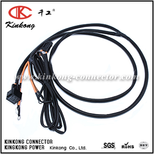 Wire harness cable assembly custom WD039