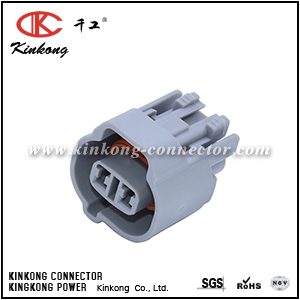 6189-0031 2 pin injector plug CKK7024Y-2.0-21