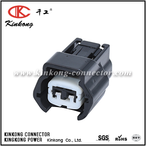 6189-0773 6918-1594 E02FB-RS 2 hole injector plug for Nissan CKK7028-2.2-21
