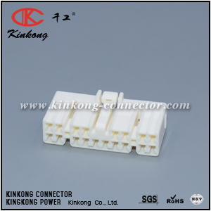 MG651074 18 way female auto connection