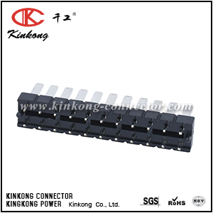 22 pin header CKK-022PBS-1