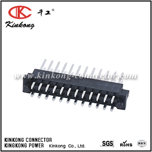 24 pin Body Control Module CKK-024PBS-1