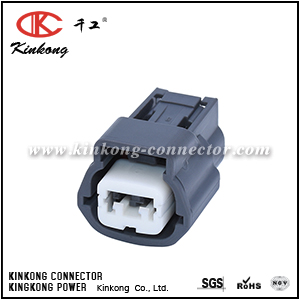E02FL-RS 2 pole automobile connectors for Evap System 1121700222AG001 CKK7028E-2.2-21